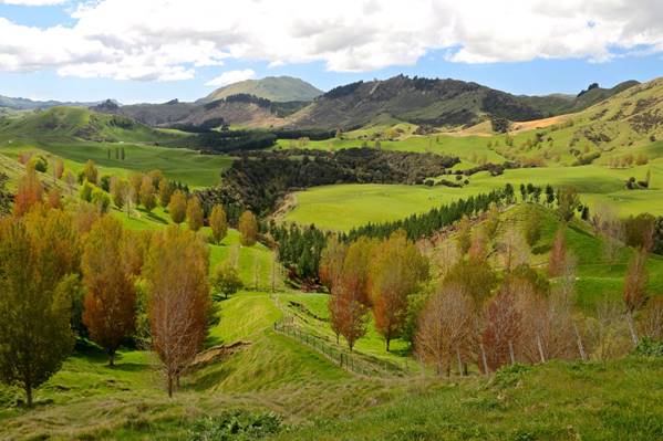 A picture containing grass, sky, outdoor, mountain

Description automatically generated
